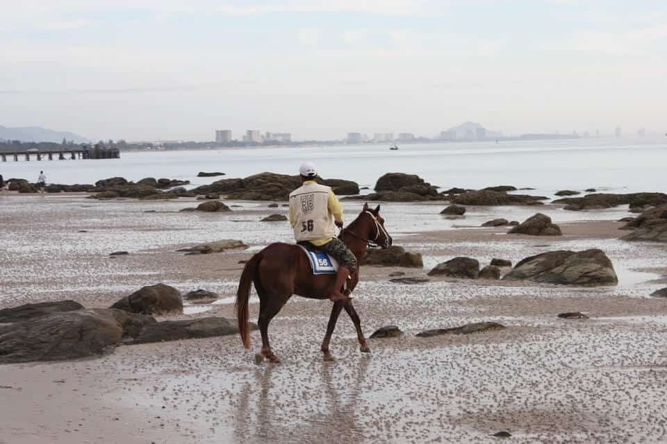 horse riding in Hua Hin Beach